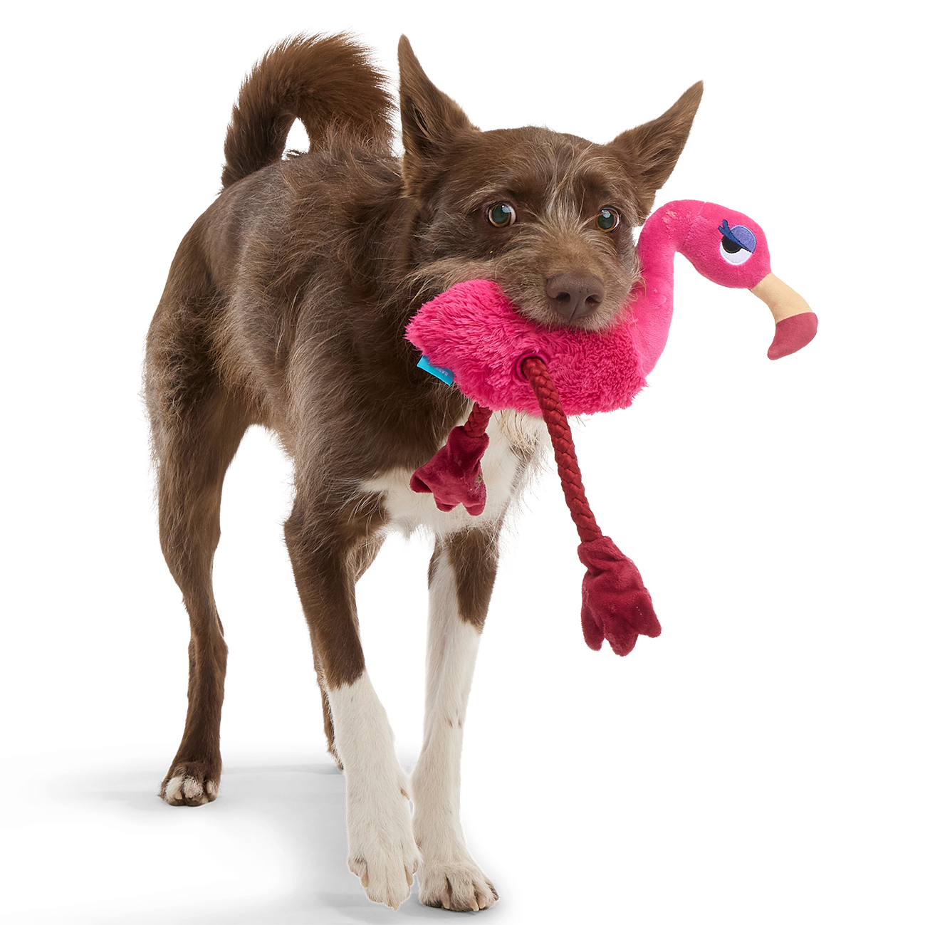 Fahari Flamingo Dog Toy with Squeaker & Crinkle for Tug Play