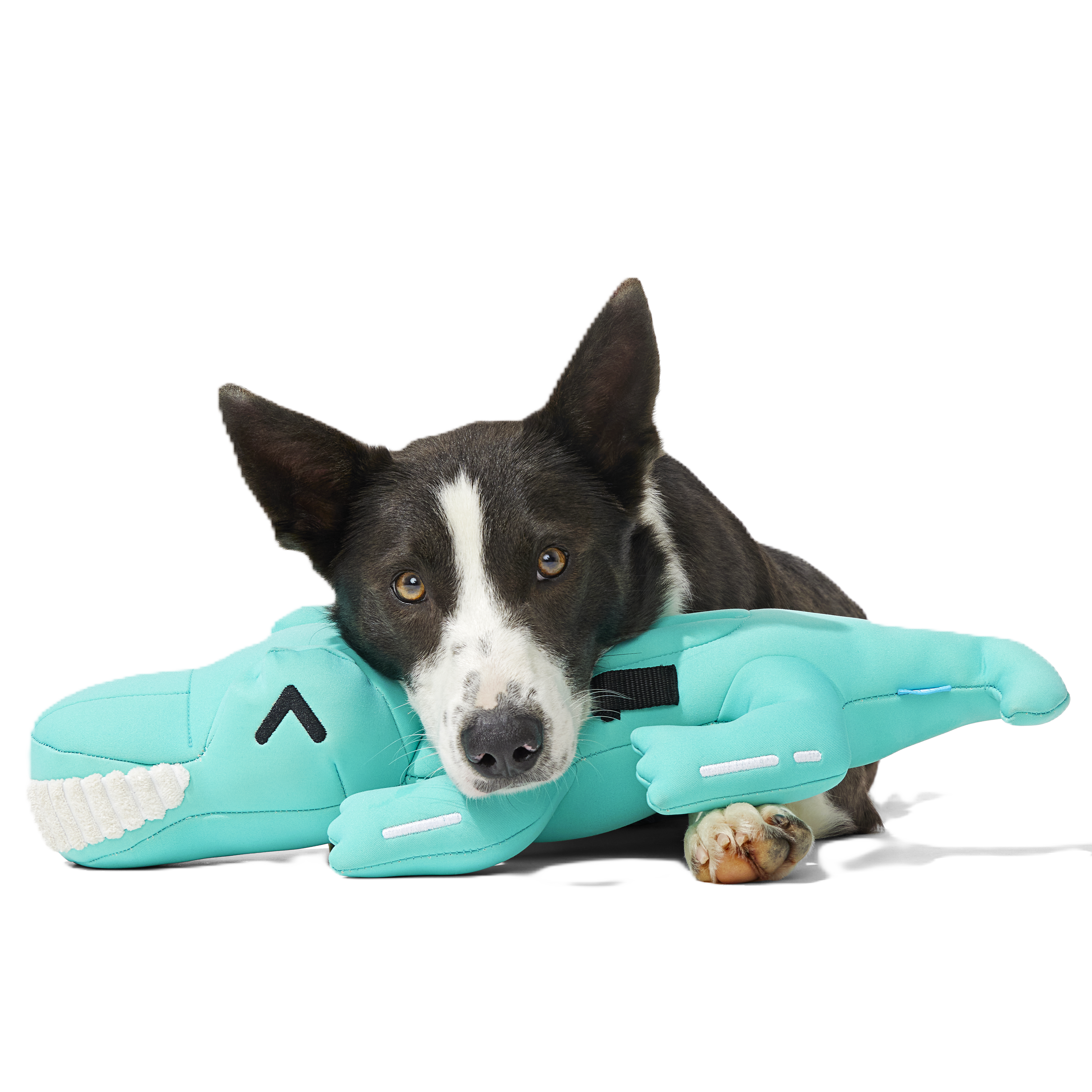 XL Floatiegator Dog Toy with Squeakers & Crinkle - Extra Large Floating Gator for Pups