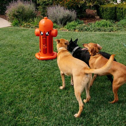 FUNBOY Harry the Hydrant Dog Sprinkler - 4-Way Spray, Durable