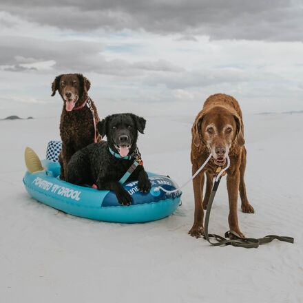 Funboy x BARK Dog Sled for Snow with Handles & Pull Rope