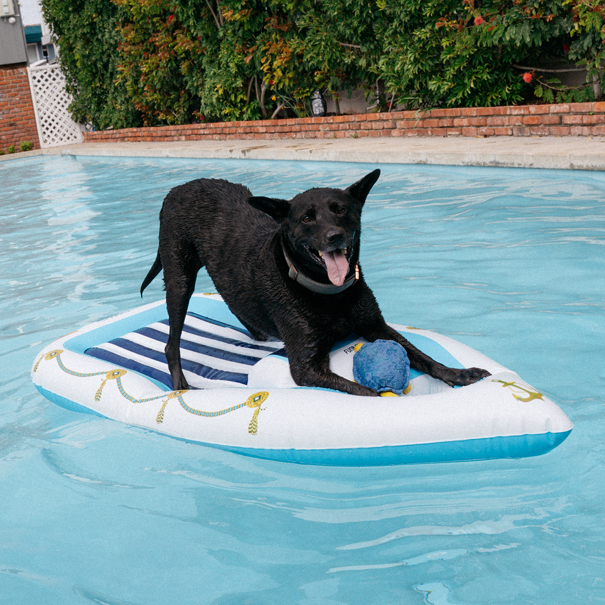 FUNBOY Yacht Dog Pool Float for Pups Up to 50 lbs