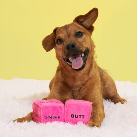 Gnawty Dog Dice Toy with Squeakers for Playtime & Fetch