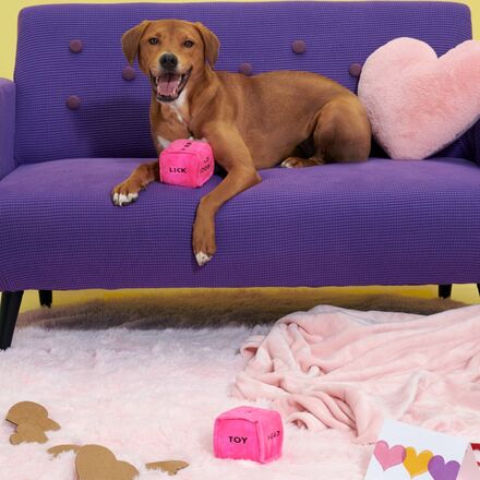 Gnawty Dog Dice Toy with Squeakers for Playtime & Fetch