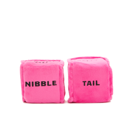 Gnawty Dog Dice Toy with Squeakers for Playtime & Fetch