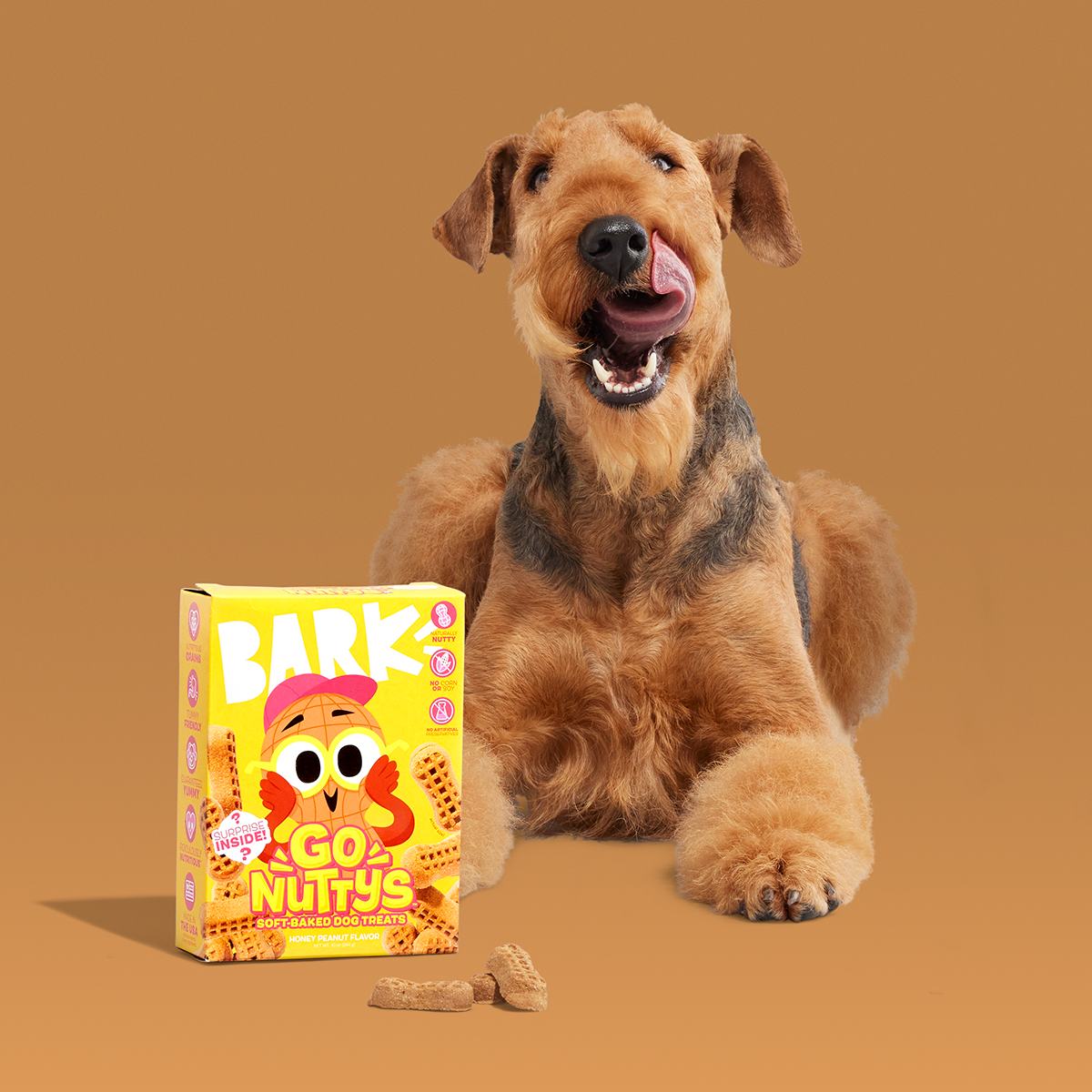 Go Nutty's Honey Peanut Soft Baked Dog Treats - Wholesome & Nutritious
