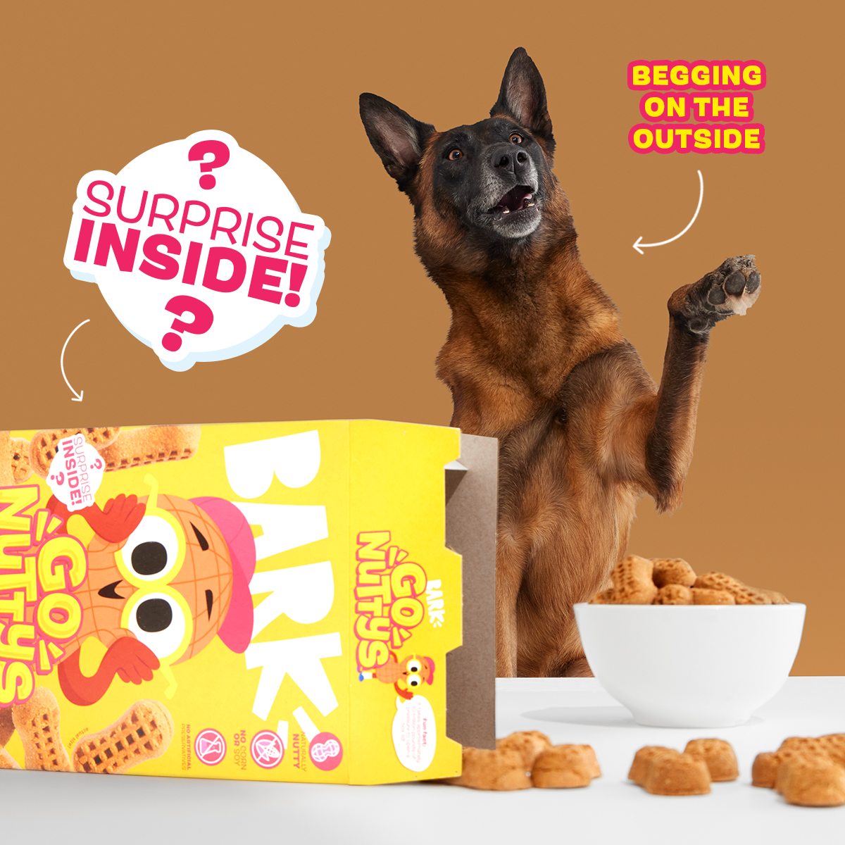 Go Nutty's Honey Peanut Soft Baked Dog Treats - Wholesome & Nutritious