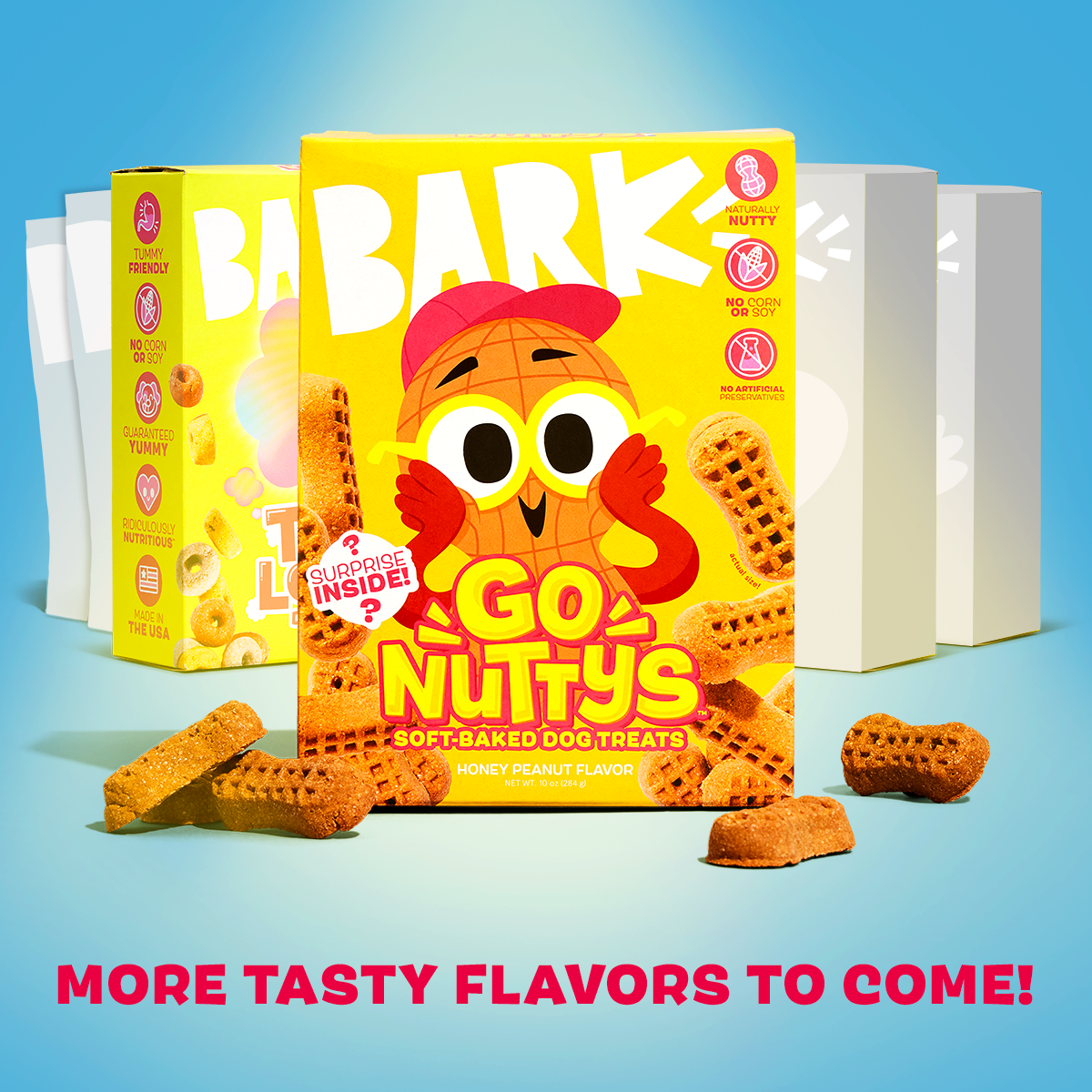 Go Nutty's Honey Peanut Soft Baked Dog Treats - Wholesome & Nutritious