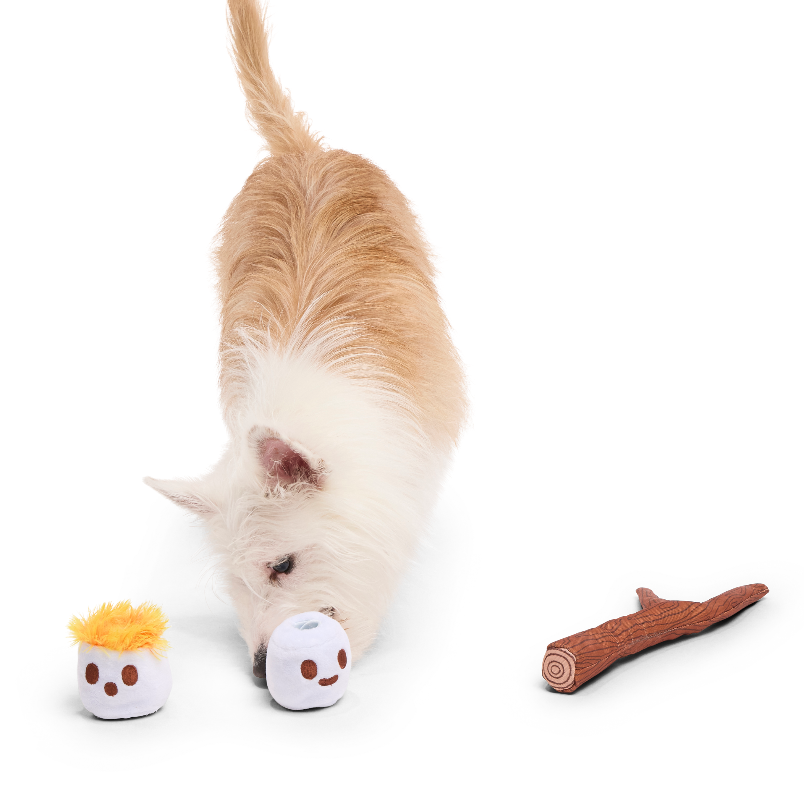 Chewy Dog Toy with Squeakers & Crinkle - The Twig Twins