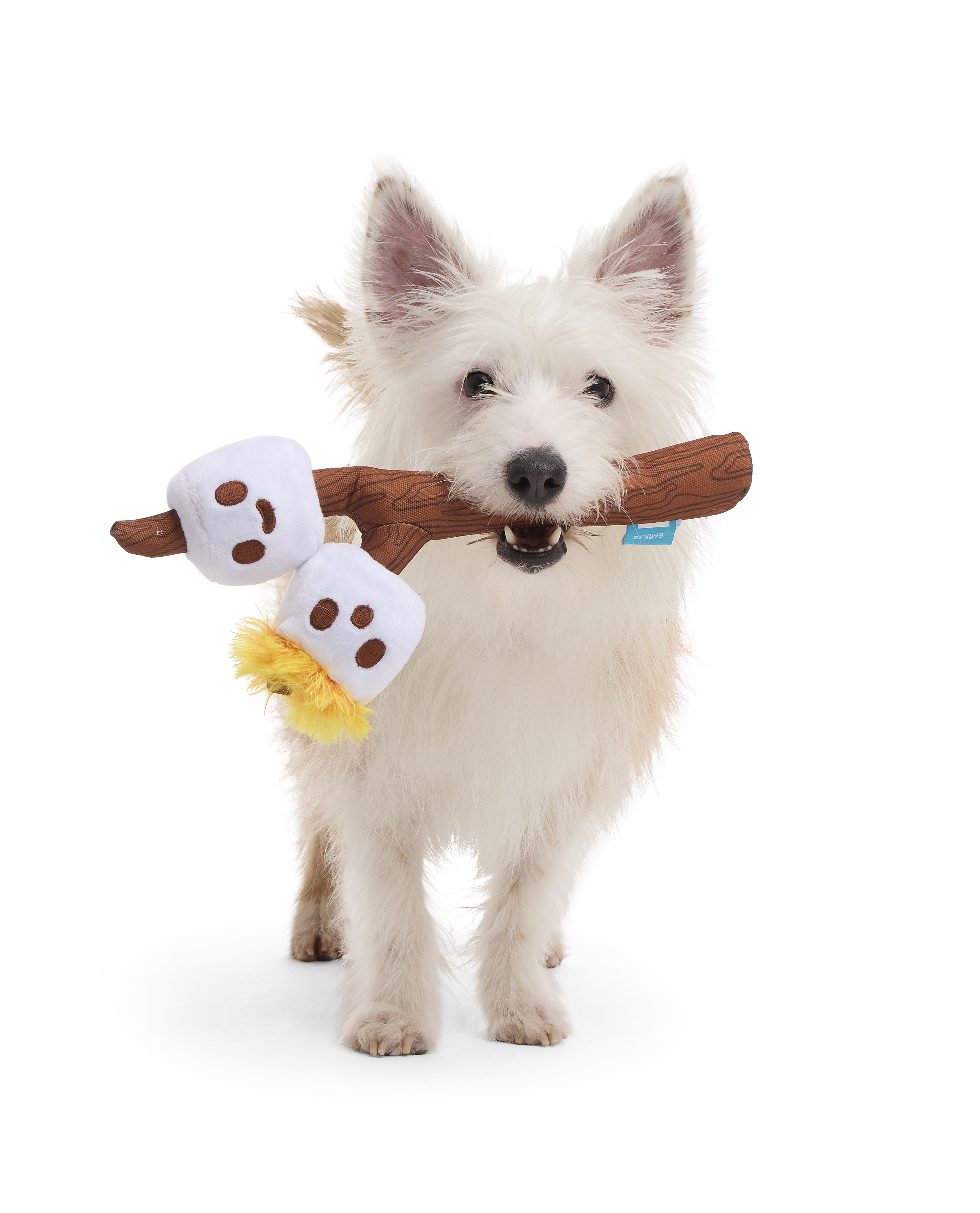 Chewy Dog Toy with Squeakers & Crinkle - The Twig Twins