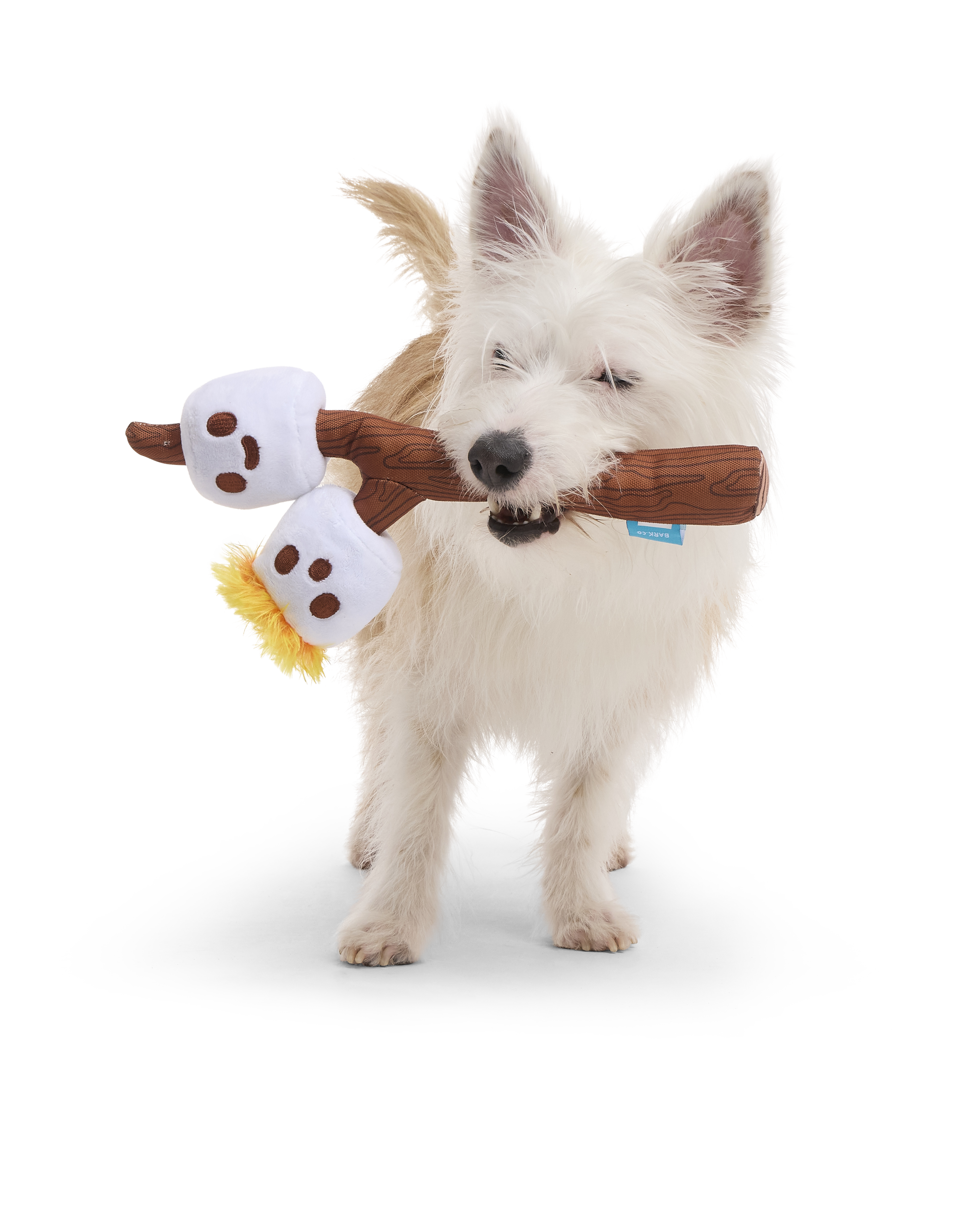 Chewy Dog Toy with Squeakers & Crinkle - The Twig Twins