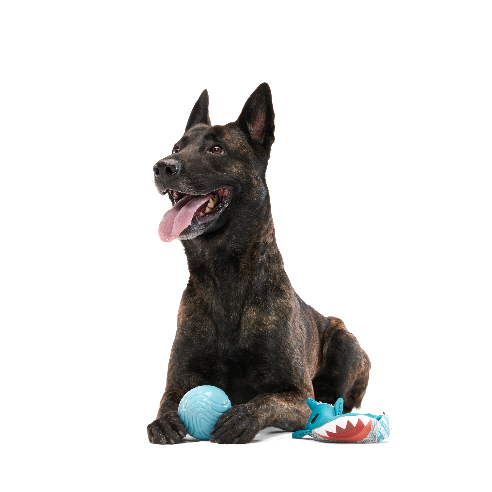 Great White Dwight Floating Dog Toy for Fetch & Water Play