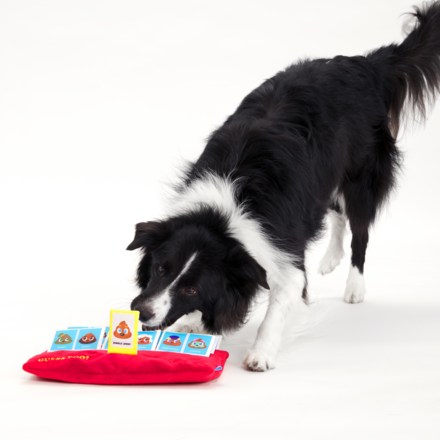 Dog Snuffle Mat with Treat Hiding Pockets - Guess Poo Crinkle Toy