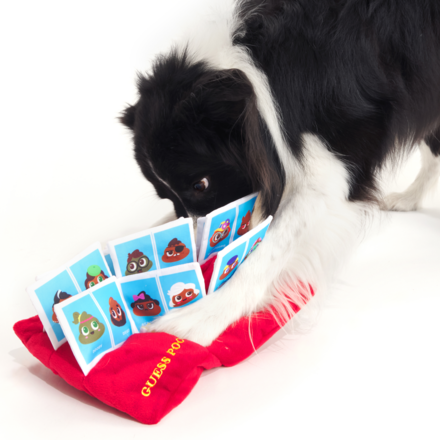 Dog Snuffle Mat with Treat Hiding Pockets - Guess Poo Crinkle Toy