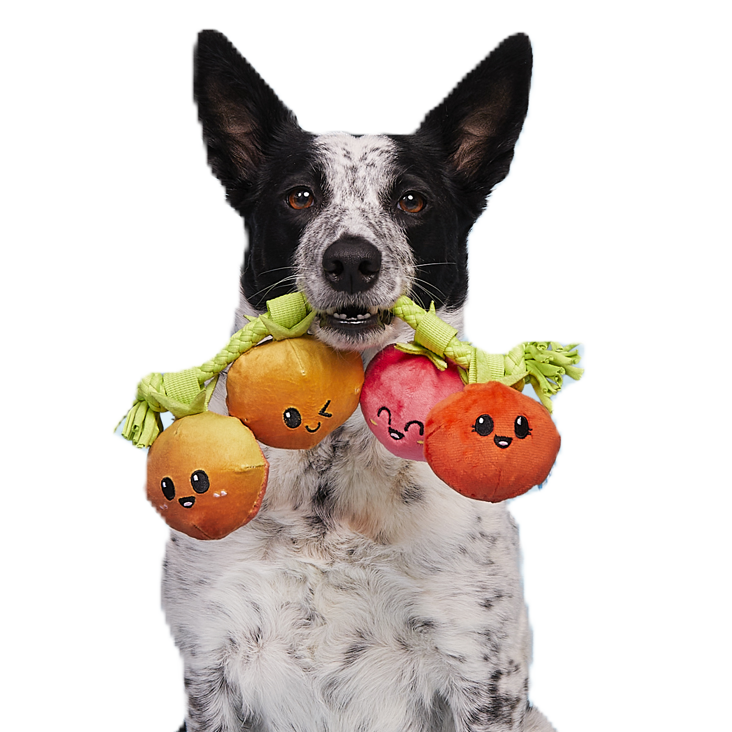 Hairloom Tomatoes Dog Toy with Squeakers & T-Shirt Rope