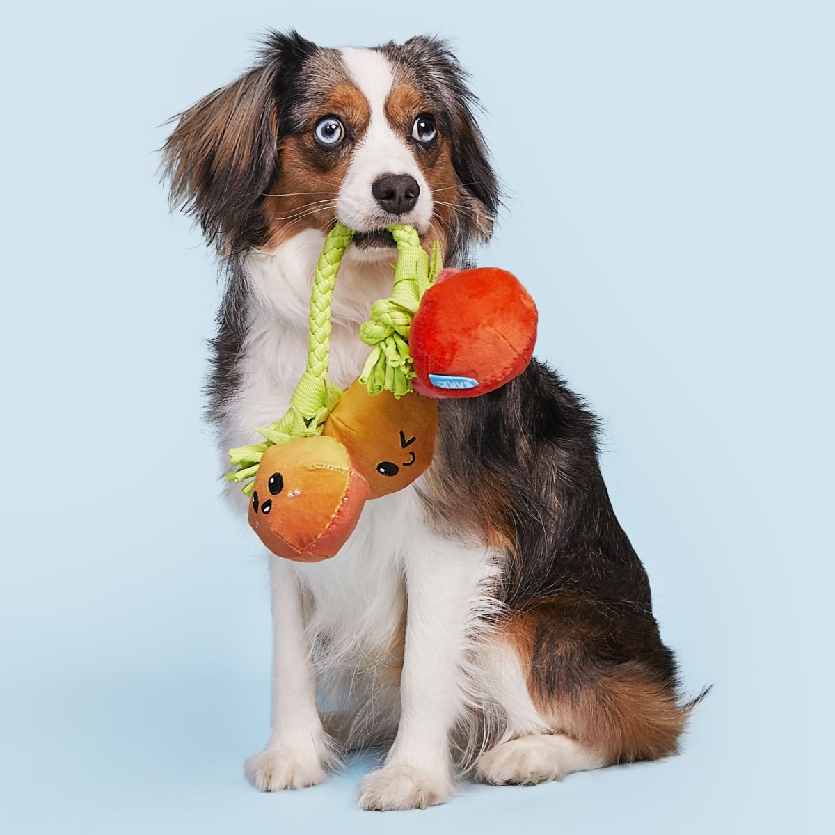 Hairloom Tomatoes Dog Toy with Squeakers & T-Shirt Rope