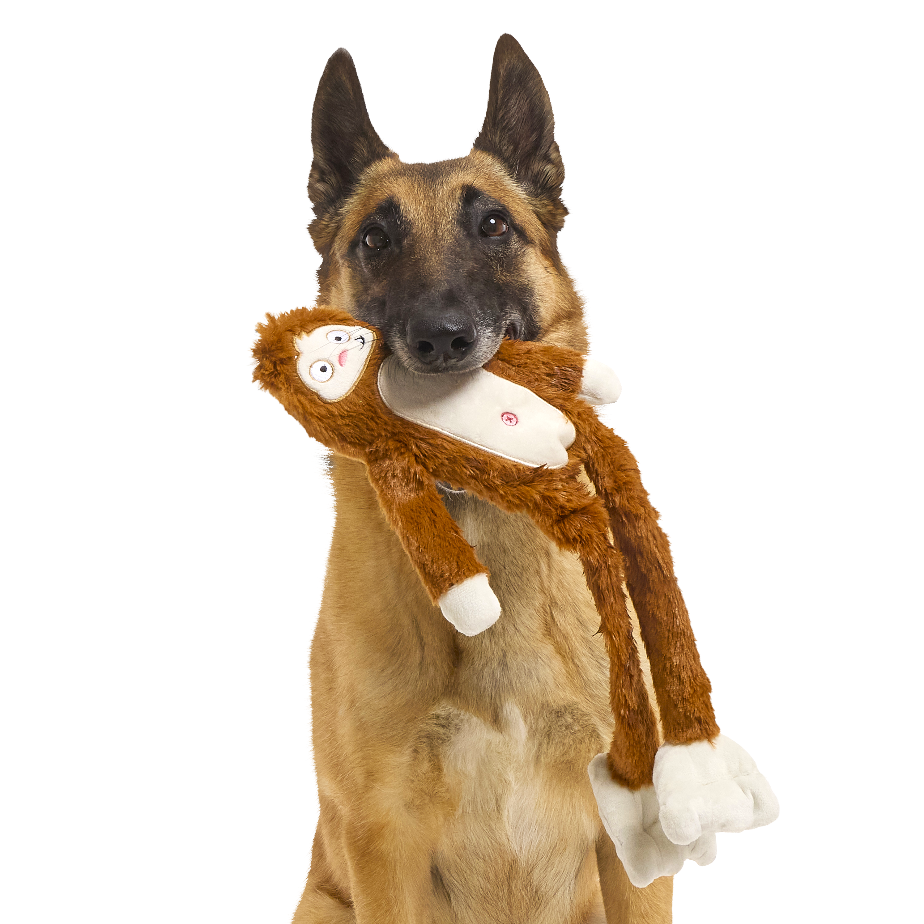 Hairy Henderson Extra Large Dog Toy with Squeaker for Tugging