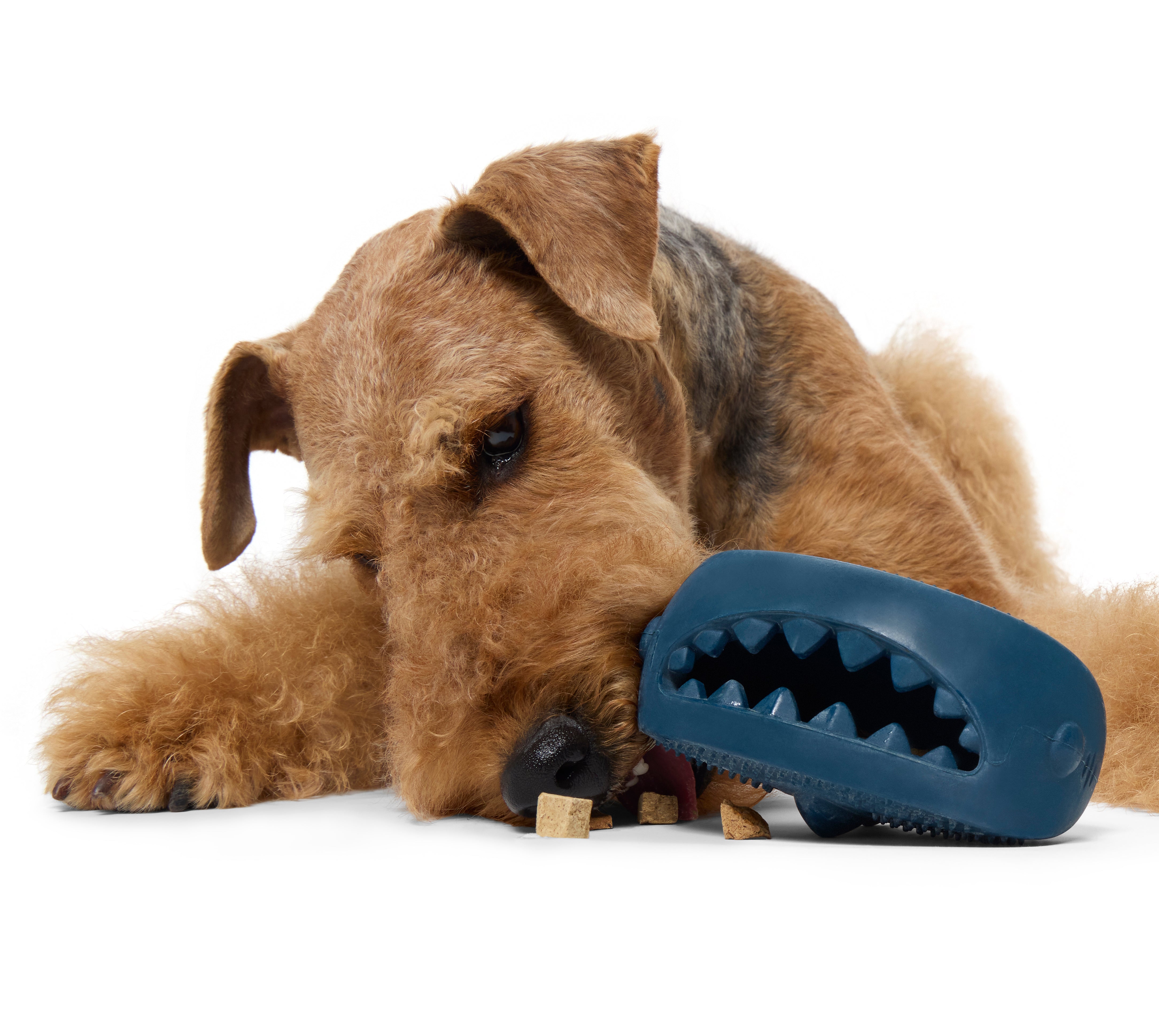 Hammer Fed Shark Dog Chew Toy - Treat Dispensing & Dental Scrubber