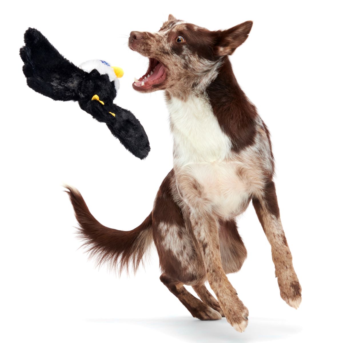 Patriotic Squeaky Eagle Dog Toy with Whip-N-Flip Wings