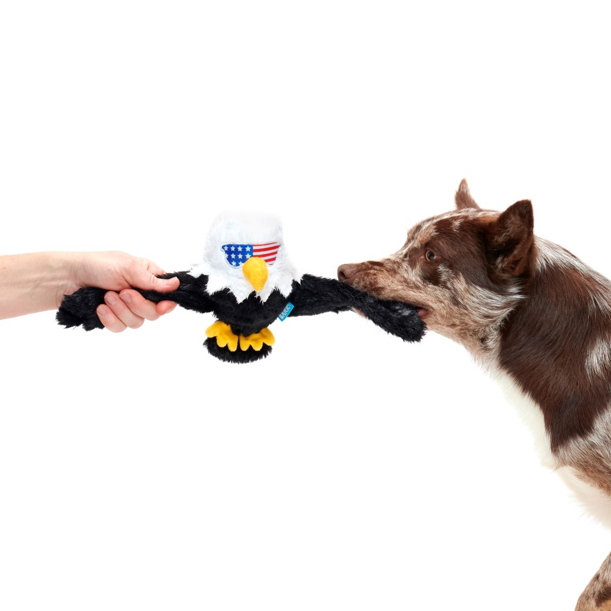 Patriotic Squeaky Eagle Dog Toy with Whip-N-Flip Wings