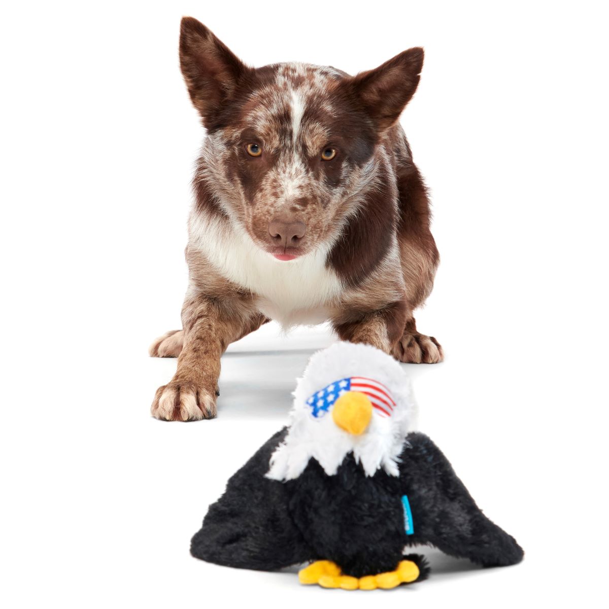 Patriotic Squeaky Eagle Dog Toy with Whip-N-Flip Wings