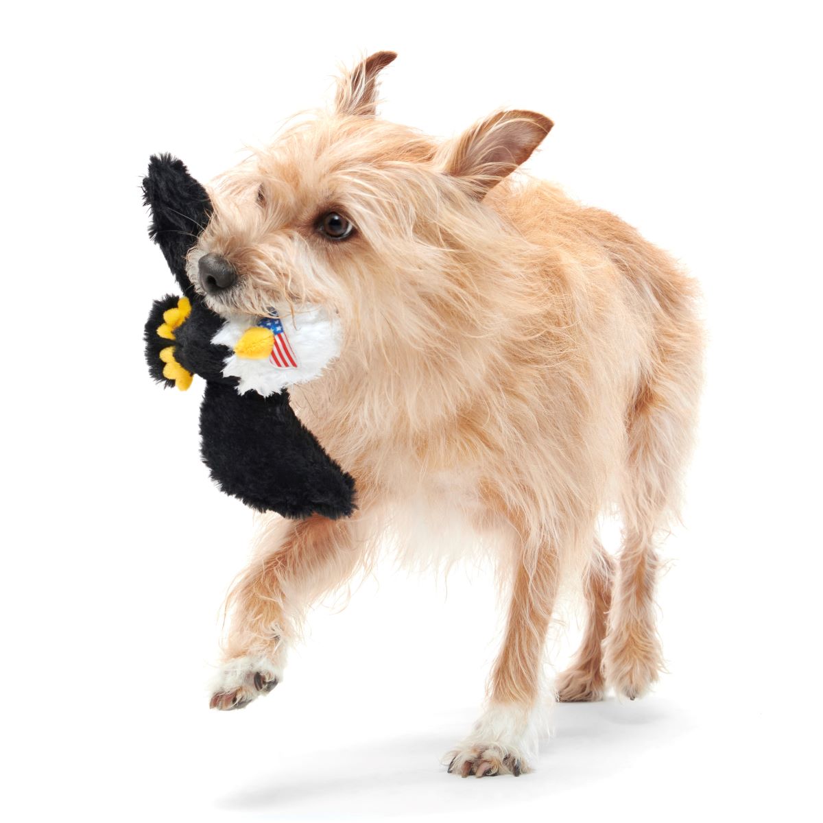 Patriotic Squeaky Eagle Dog Toy with Whip-N-Flip Wings