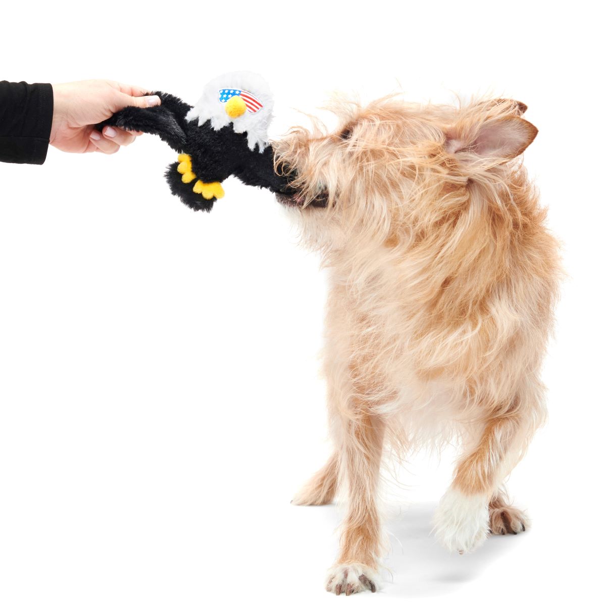 Patriotic Squeaky Eagle Dog Toy with Whip-N-Flip Wings