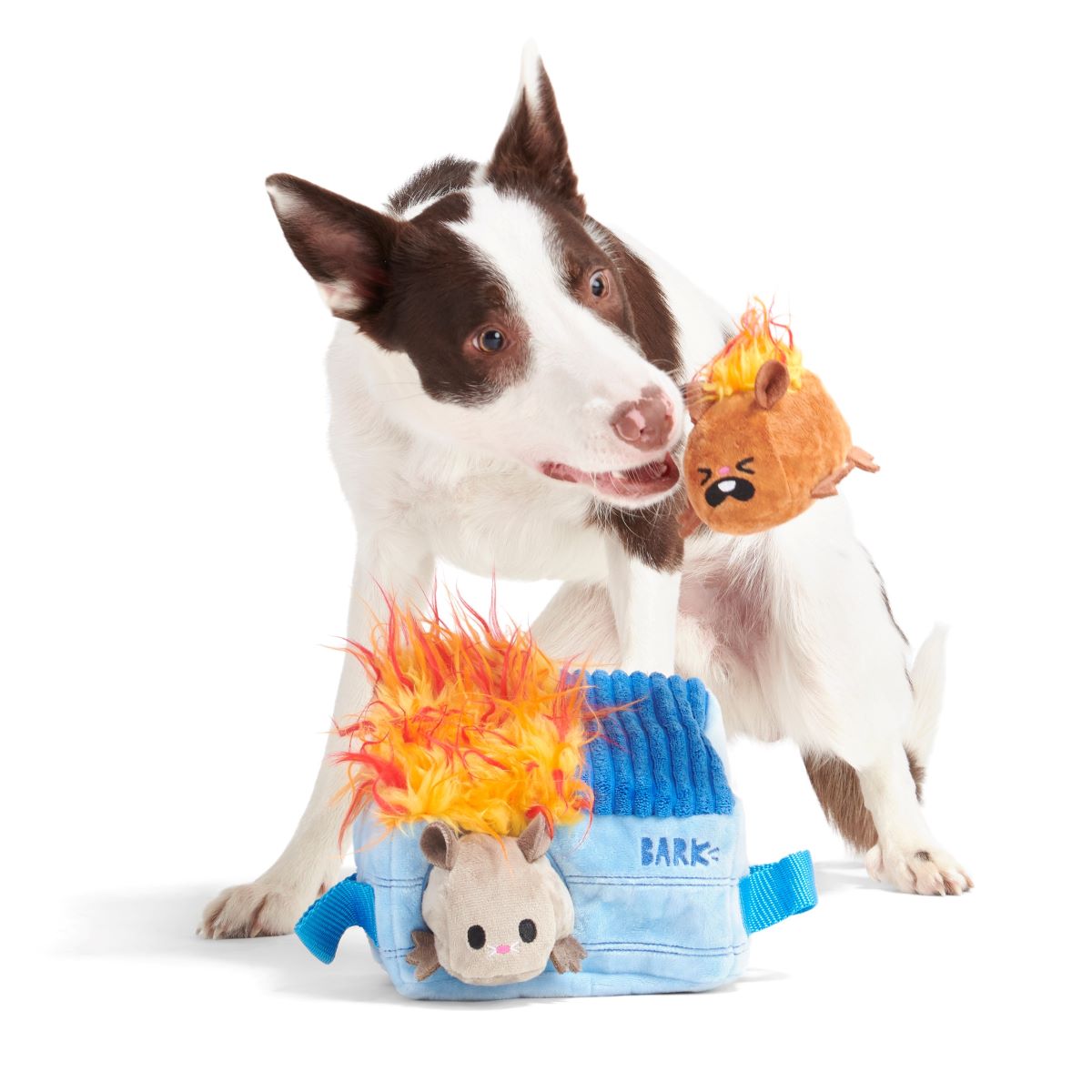 Hide n' Squeak Dumpster Fire Dog Toy with Squeaky Rats & Crinkle Sounds