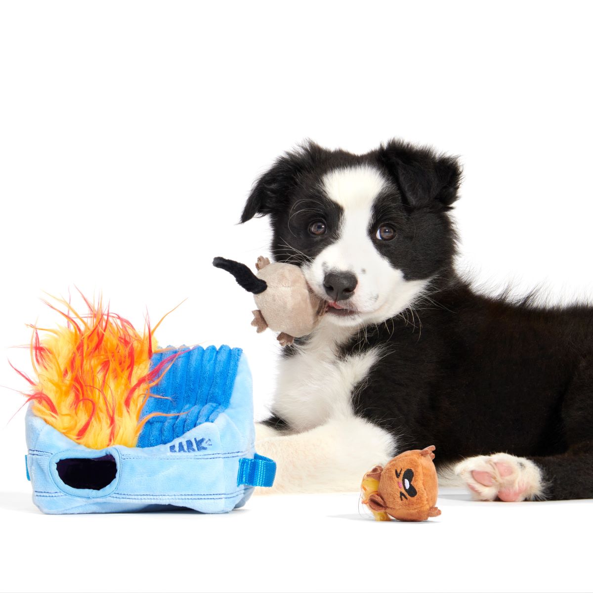 Hide n' Squeak Dumpster Fire Dog Toy with Squeaky Rats & Crinkle Sounds