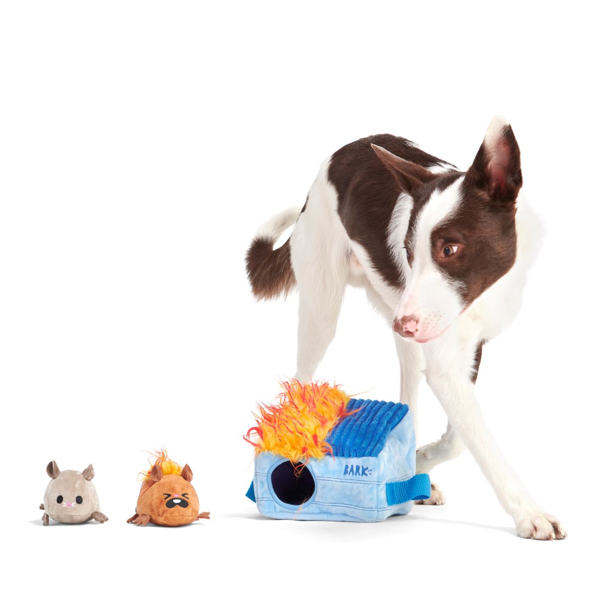 Hide n' Squeak Dumpster Fire Dog Toy with Squeaky Rats & Crinkle Sounds