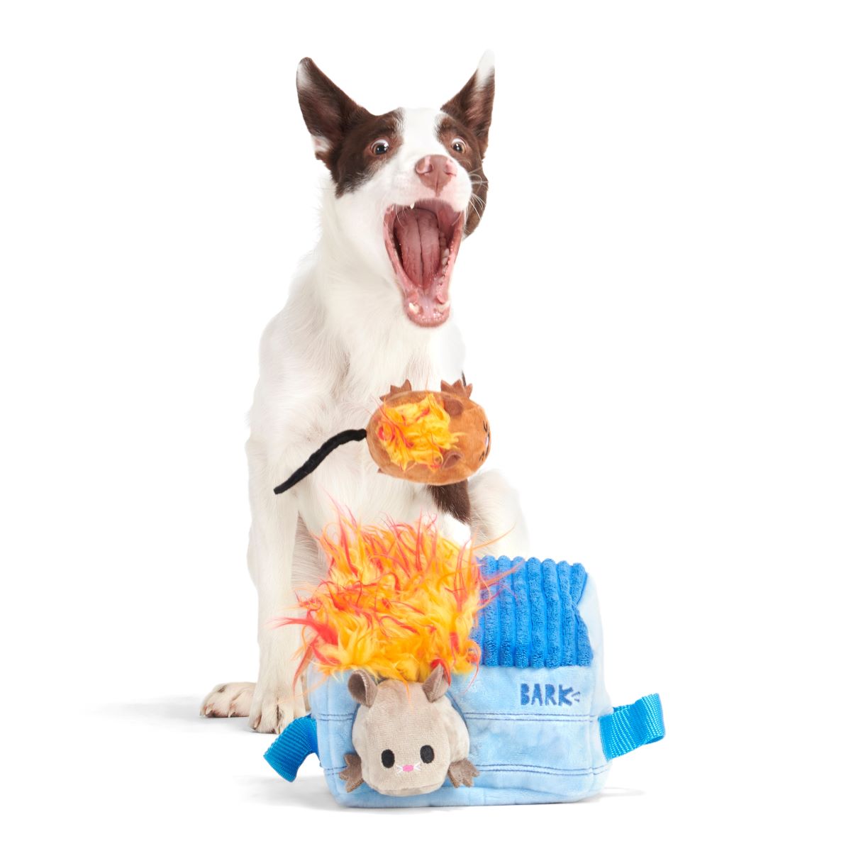 Hide n' Squeak Dumpster Fire Dog Toy with Squeaky Rats & Crinkle Sounds