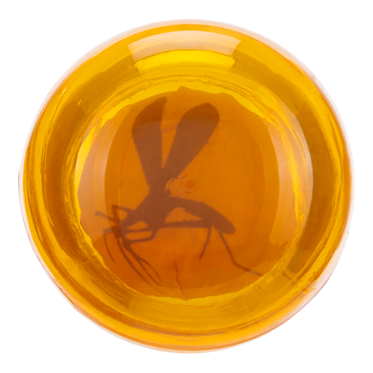 Cheese-Scented Rubber Dog Ball with Wacky Bounce - It's In My DNA