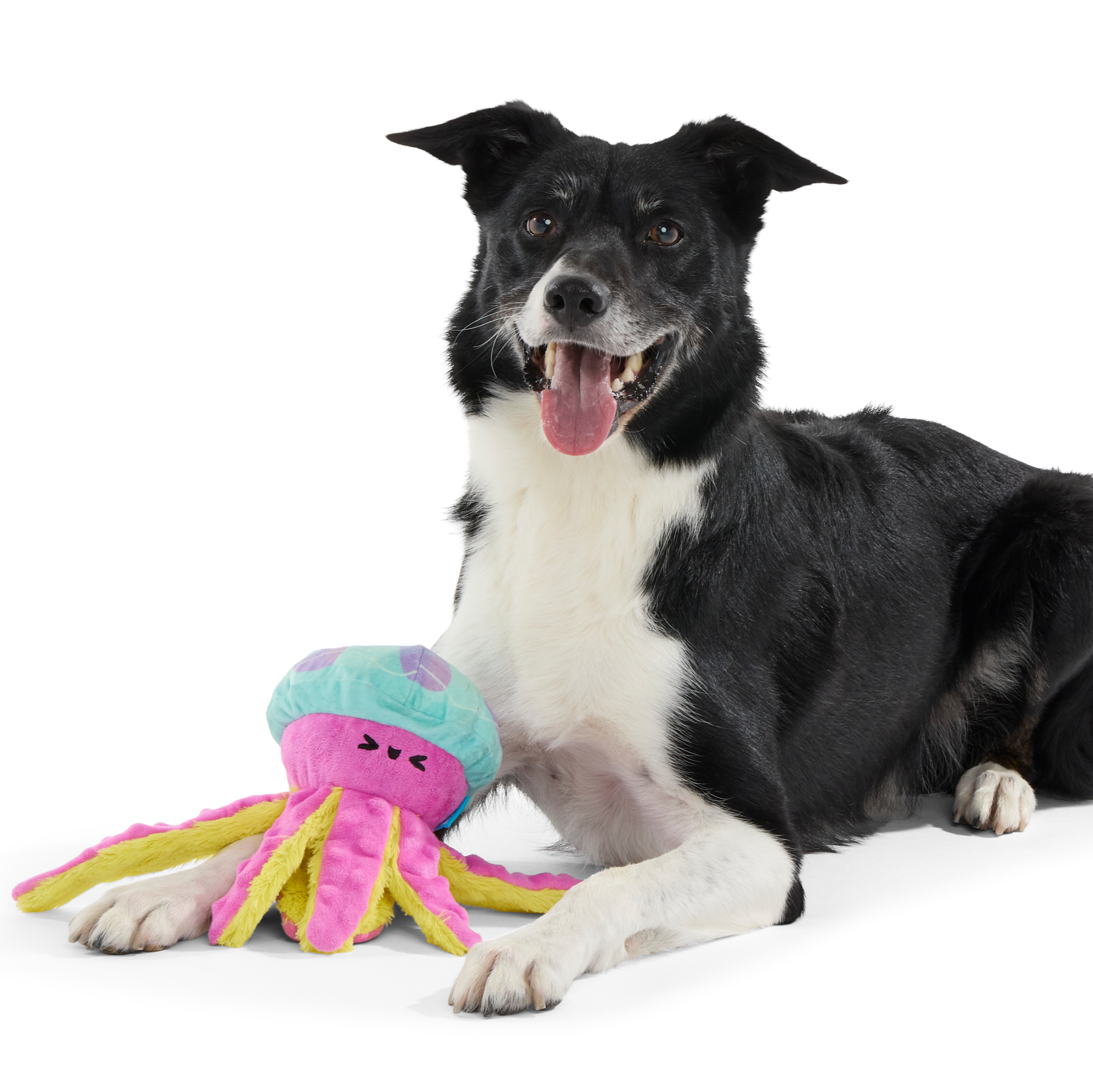 JellySquish Squeaky Crinkle Dog Toy for Beach Play