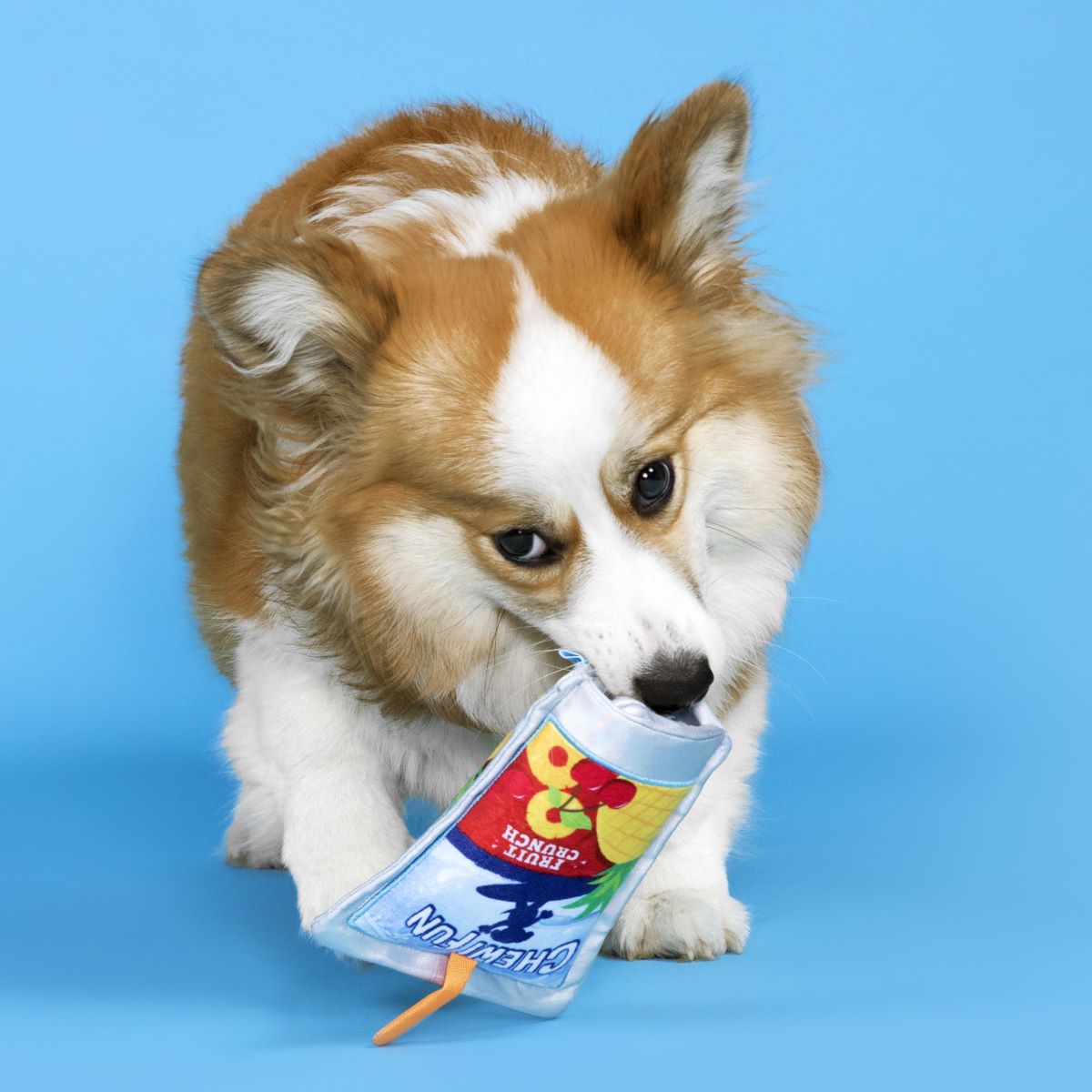 Juice Pooch Squeaky Crinkle Dog Toy for Fetch & Play
