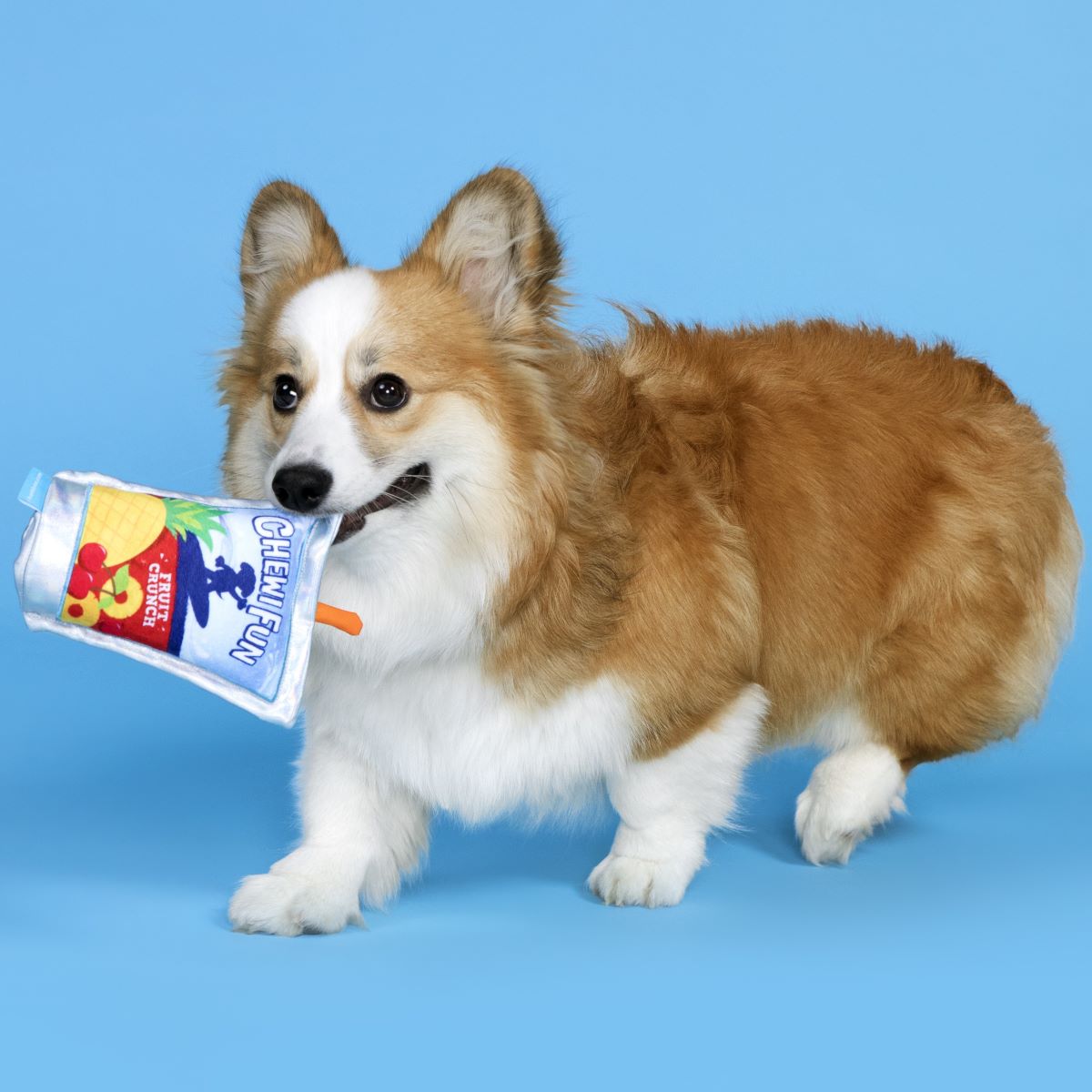 Juice Pooch Squeaky Crinkle Dog Toy for Fetch & Play