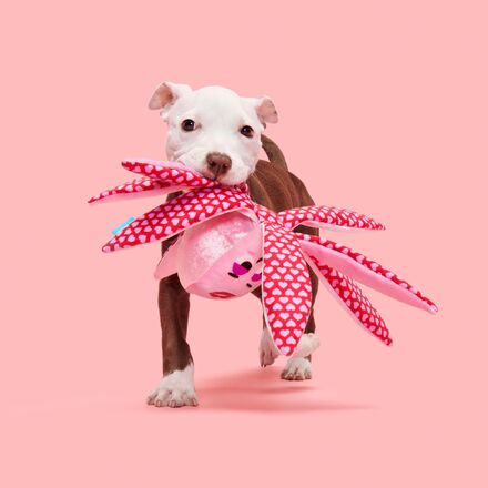 Kiss & Tell Ollie Dog Toy - Squeaky Octopus with Crinkle & Whip-Flip Limbs