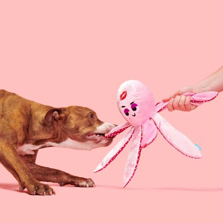 Kiss & Tell Ollie Dog Toy - Squeaky Octopus with Crinkle & Whip-Flip Limbs