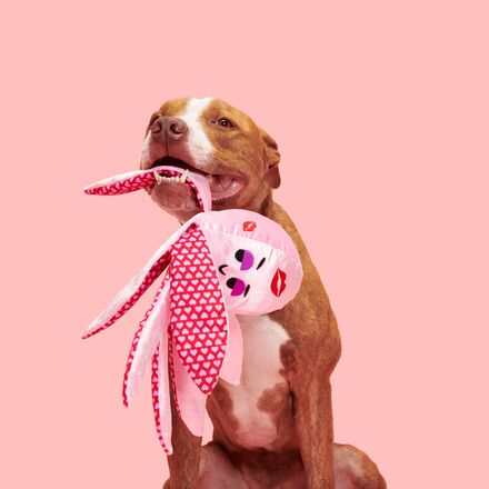 Kiss & Tell Ollie Dog Toy - Squeaky Octopus with Crinkle & Whip-Flip Limbs
