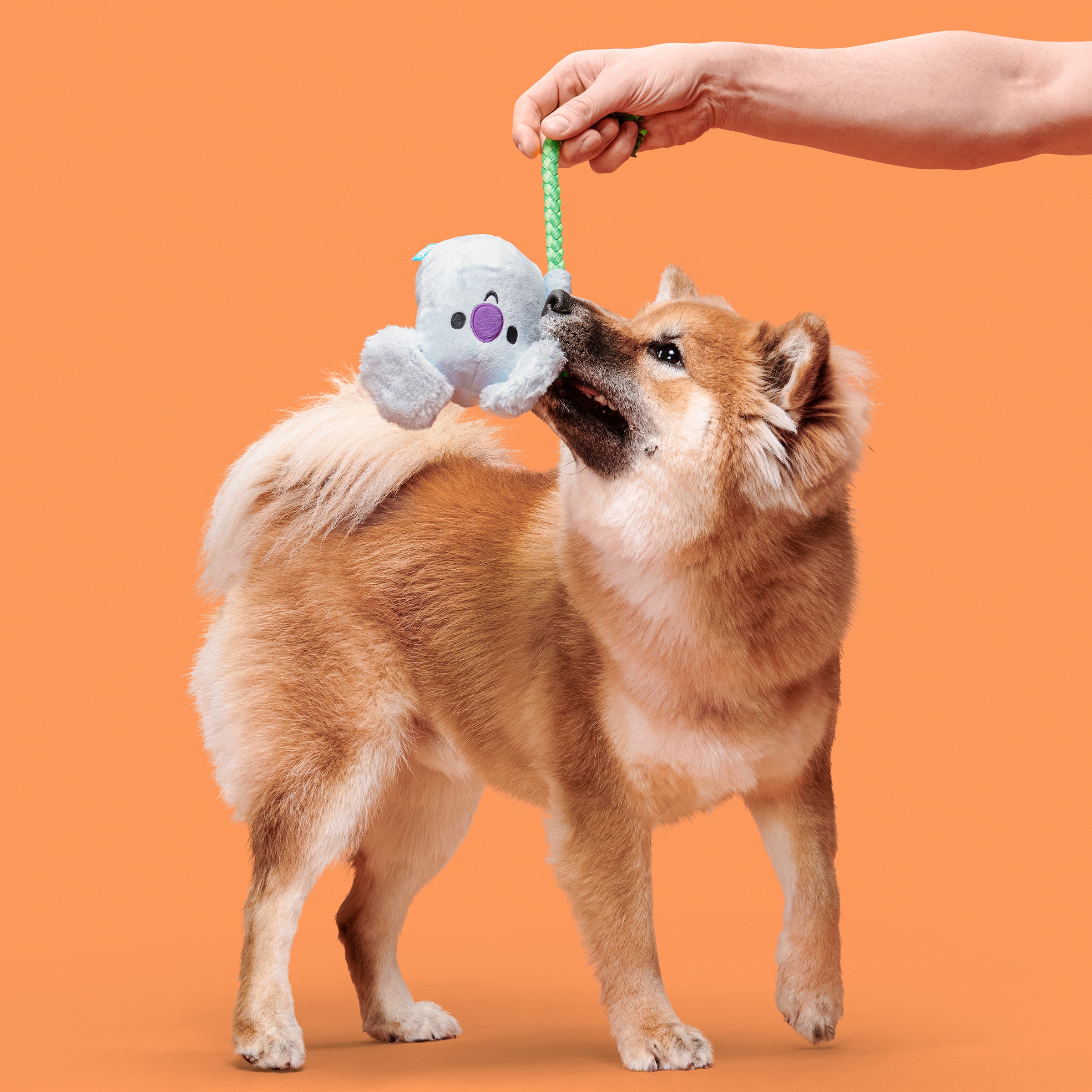 Koa Koala Dog Toy with Squeaker & Crinkle for Tug Play