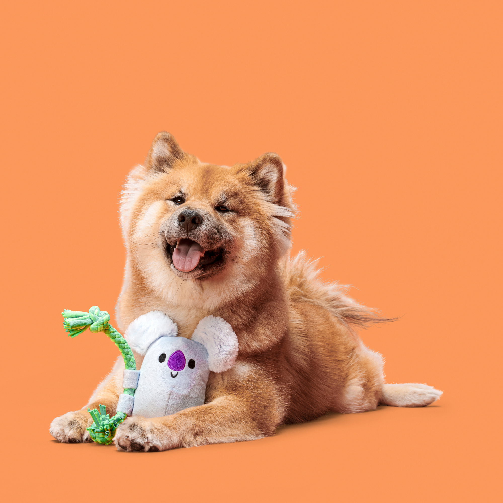 Koa Koala Dog Toy with Squeaker & Crinkle for Tug Play
