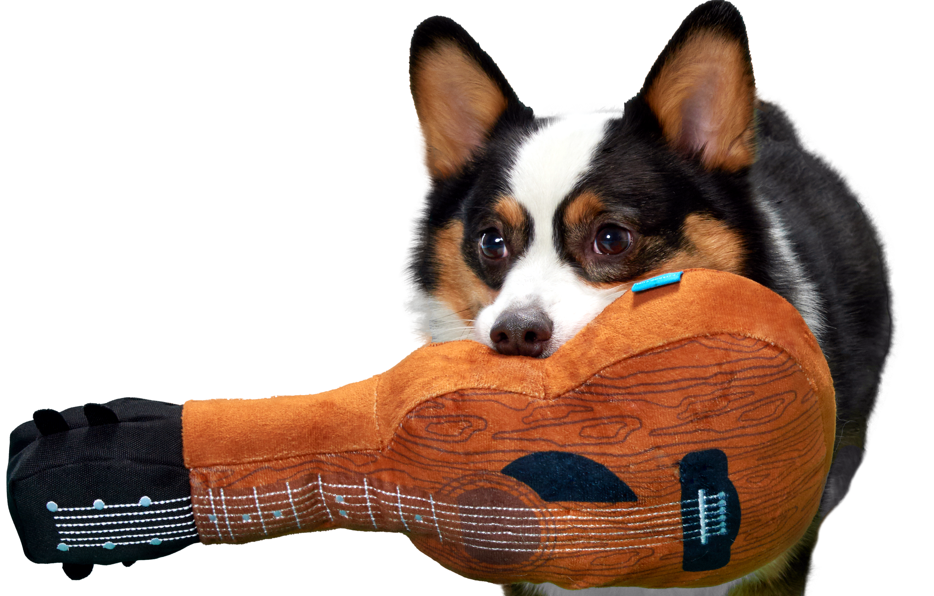 Kumbarkya Guitar Dog Toy with Squeaker & Crinkle for Playful Pets