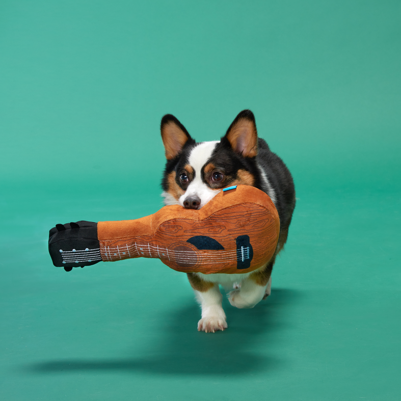 Kumbarkya Guitar Dog Toy with Squeaker & Crinkle for Playful Pets
