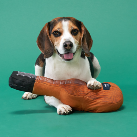 Kumbarkya Guitar Dog Toy with Squeaker & Crinkle for Playful Pets