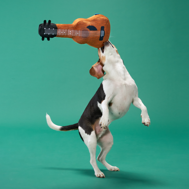 Kumbarkya Guitar Dog Toy with Squeaker & Crinkle for Playful Pets