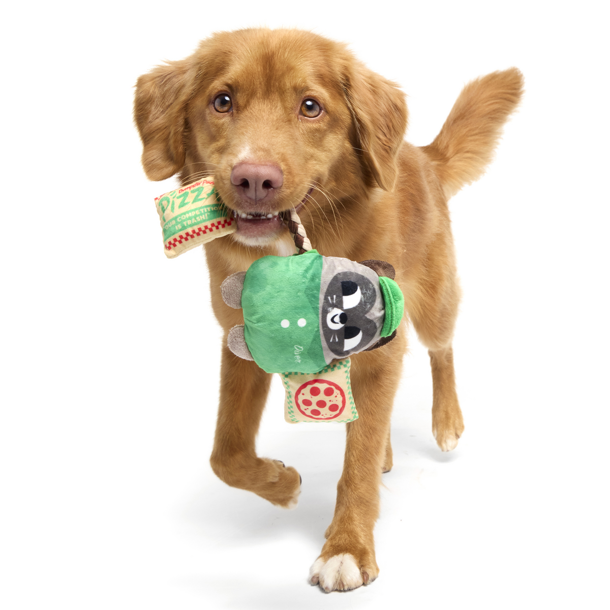 Raccoon Pizza Dog Toy with Squeaker & Crinkle for Tug Play