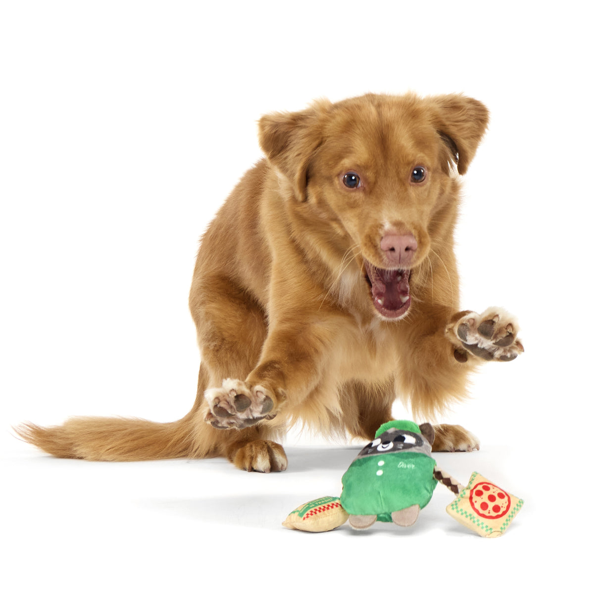 Raccoon Pizza Dog Toy with Squeaker & Crinkle for Tug Play
