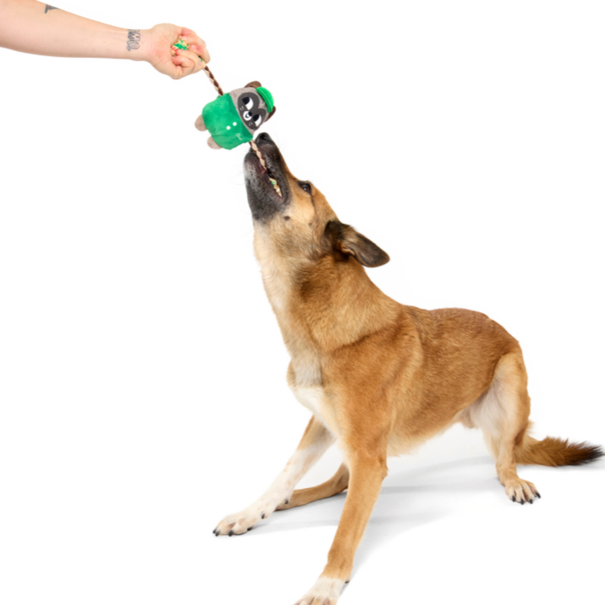 Raccoon Pizza Dog Toy with Squeaker & Crinkle for Tug Play