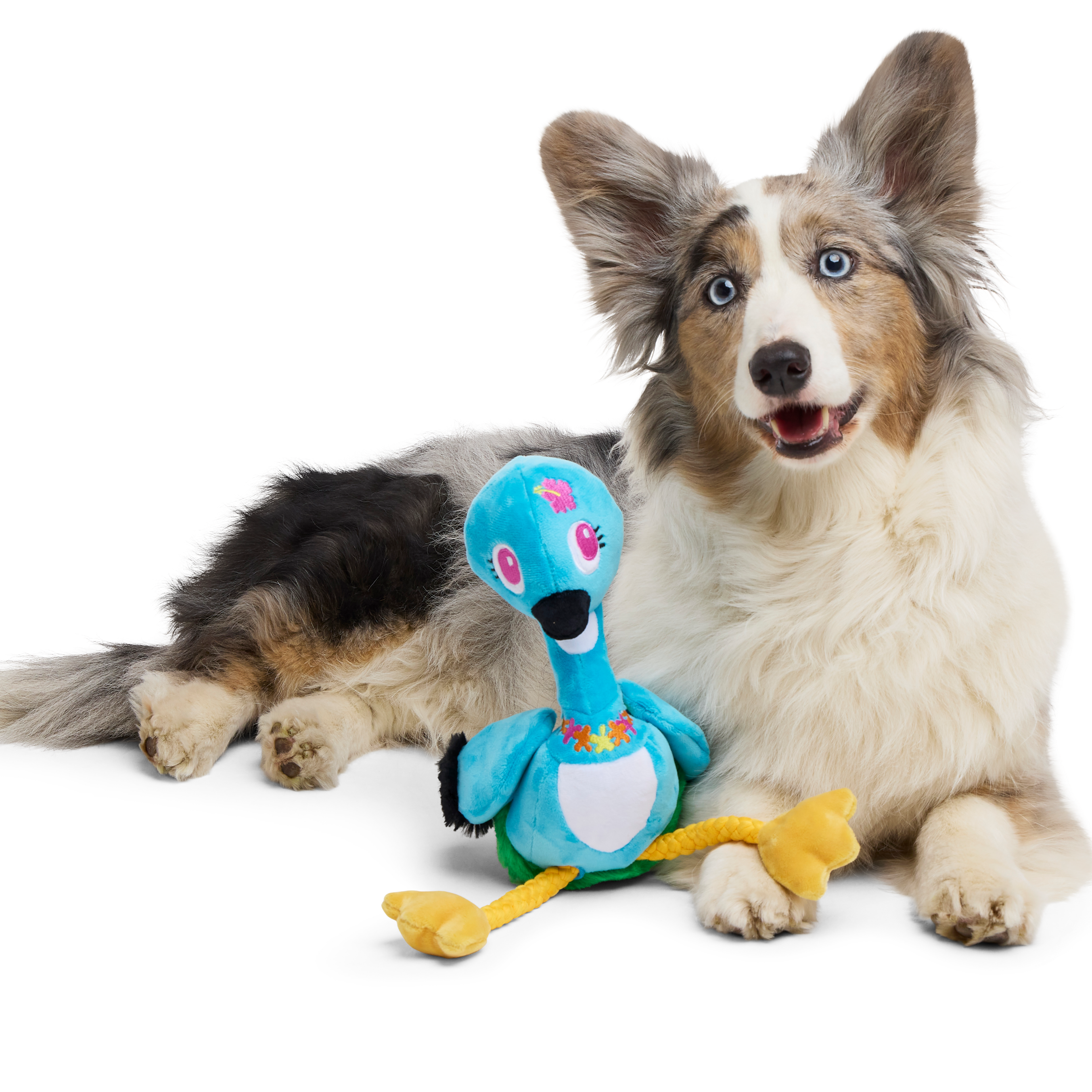 Lele the Nene Goose Dog Toy with Squeaker & Crinkle
