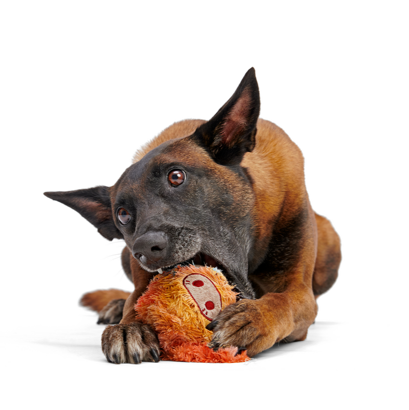Lerf Secret Monster Club Dog Toy – Plush Wrapped Rubber Chew for Super Chewers