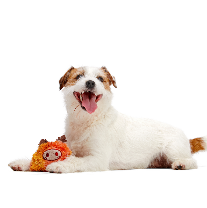 Lerf Secret Monster Club Dog Toy – Plush Wrapped Rubber Chew for Super Chewers