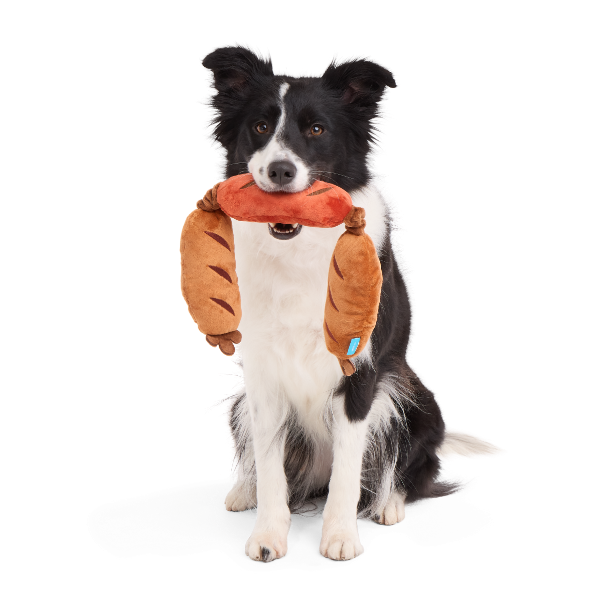Crinkle Bungee Dog Toy for Tug Play – Lickin’ Links